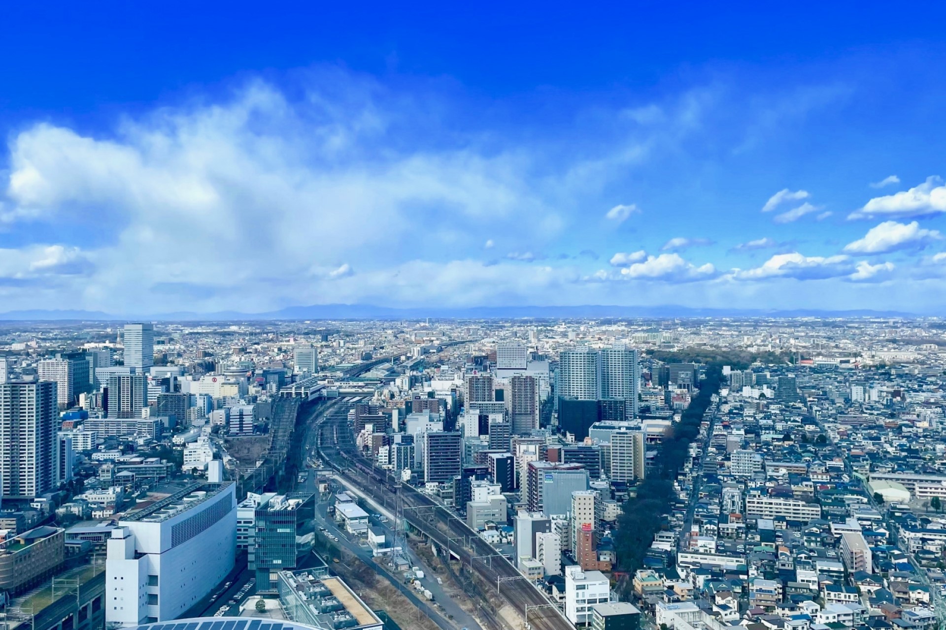 社会